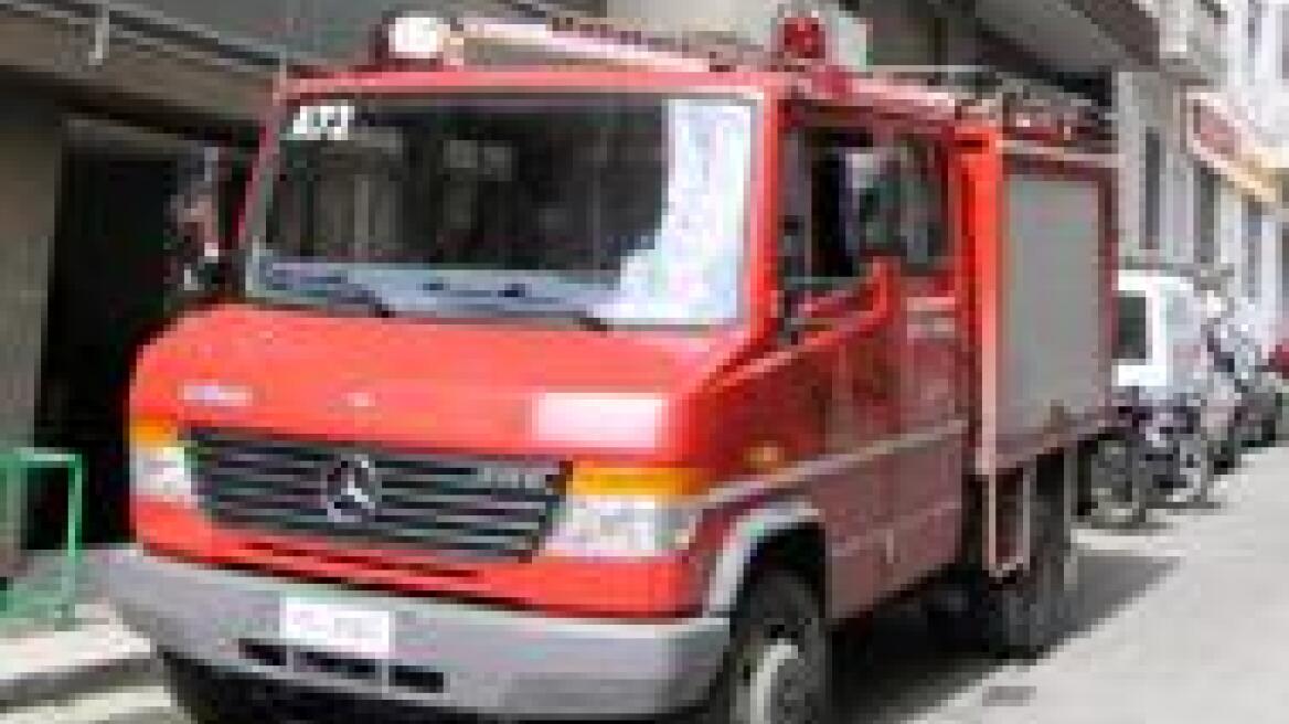Τροιζηνία: Ανάμεσα στις πορτοκαλιές καλλιεργούσε και δενδρύλλια κάνναβης!