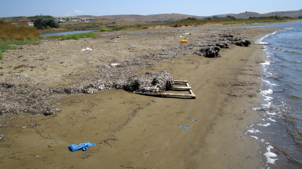 Παίρνει Ντινγκά ο Ολυμπιακός