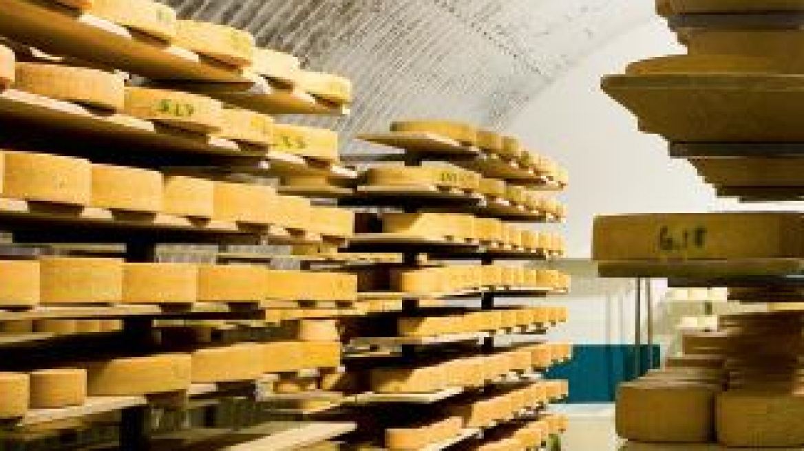 «Ποντικοί» άδειασαν το τυρί από τυροκομείο 