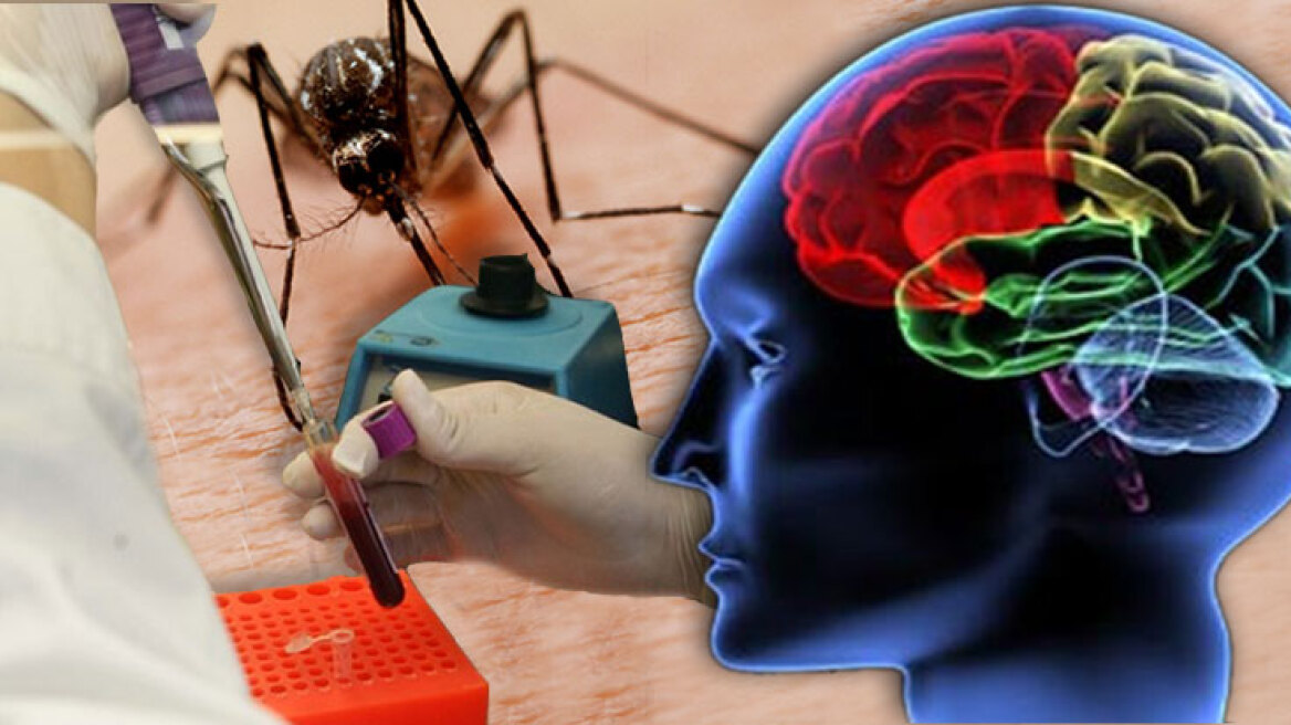 Θεσσαλονίκη: Κατασχέθηκαν εκατοντάδες προϊόντα «μαϊμού» 