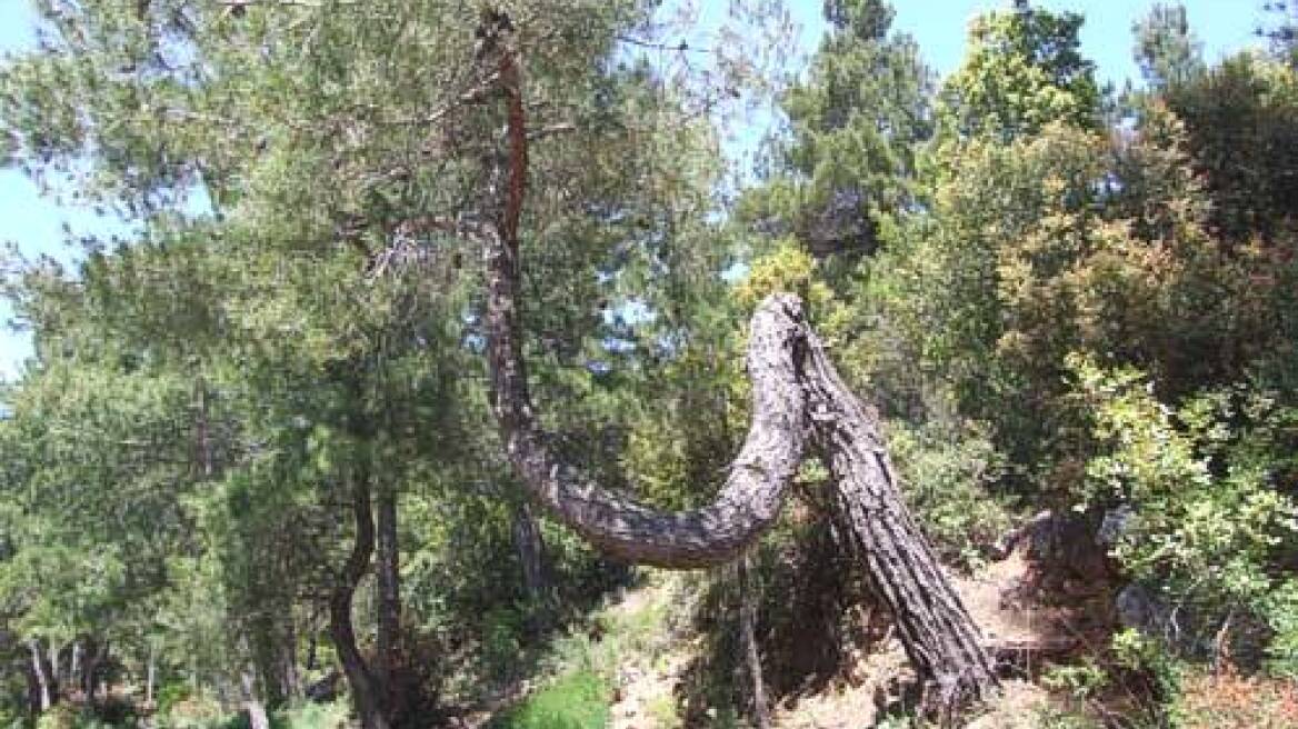 Ανοικτό Πανεπιστήμιο: 4890 οι θέσεις για νέους φοιτητές