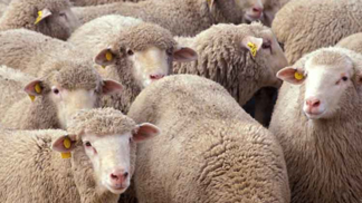 Ξεκινά η διαδικασία εκτίμησης της περιουσίας του Ντιτρόιτ