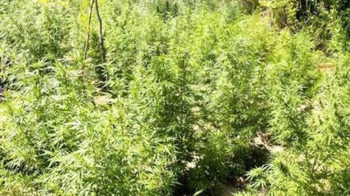 Μασούτης: Προς εξαγορά των σούπερ μάρκετ «Γαλαξίας» και «Μαρκάτο»