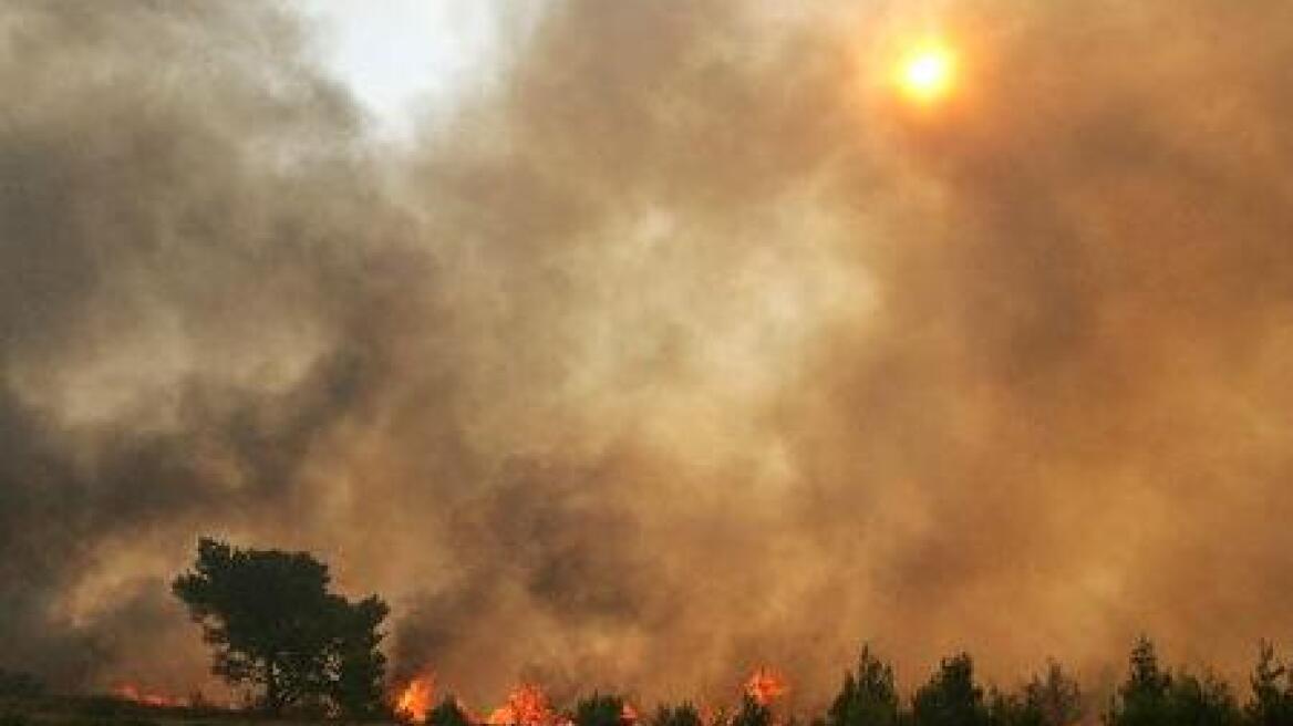 Τσετσένοι και άλλοι Καυκάσιοι στο πλευρό των ανταρτών, λέει ο Σύρος ΥΠΕΞ