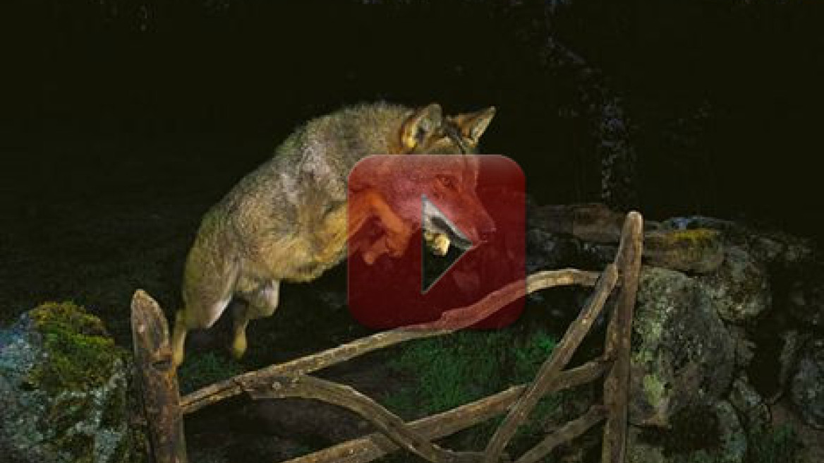 Φθινοπωρινή απόδραση στα Ιωάννινα