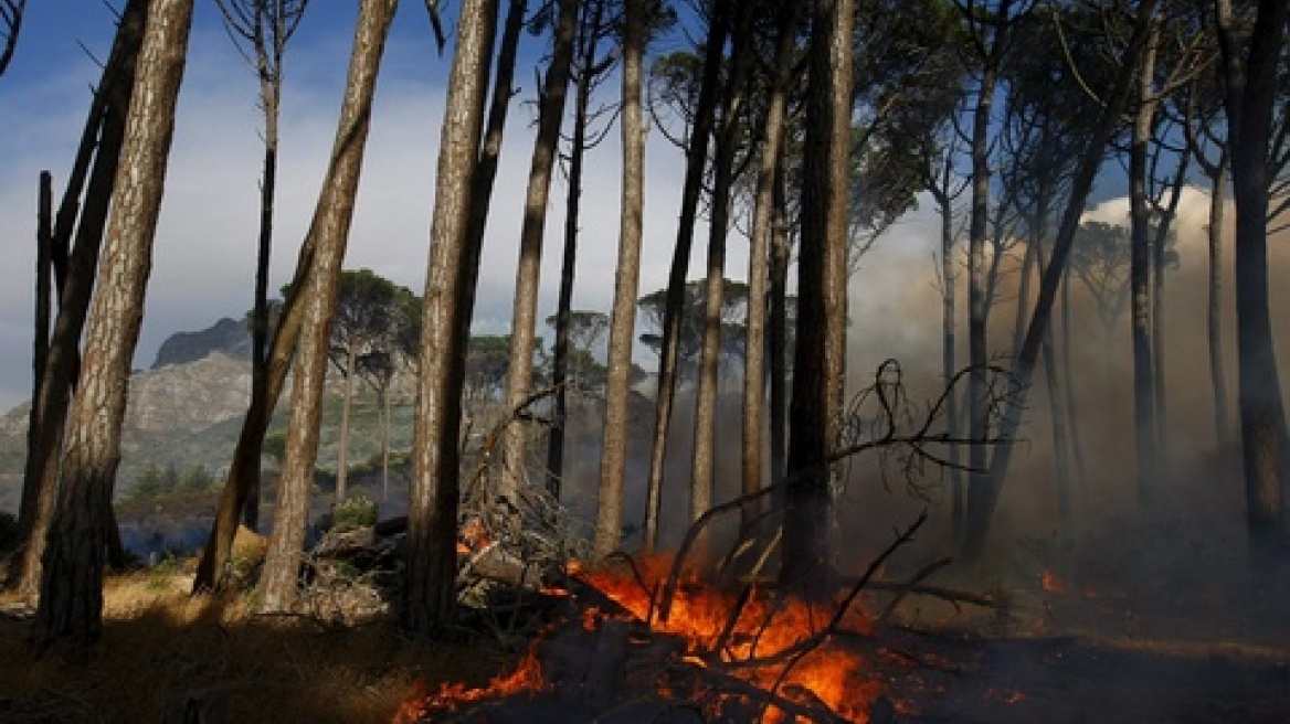 Κρουαζιέρες: Η Ελλάδα τρίτος προορισμός στην Ευρώπη  