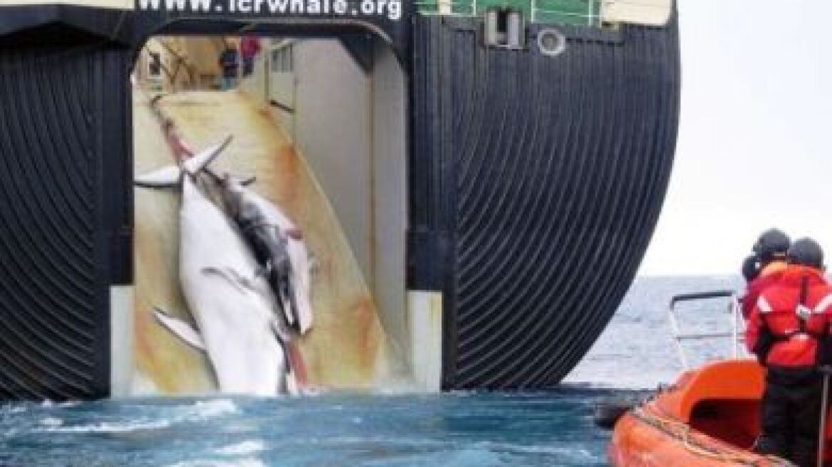 Κύπρος: Παραλίγο εμπλοκή βρετανικών και τουρκικών αεροσκαφών πάνω από τα Κατεχόμενα