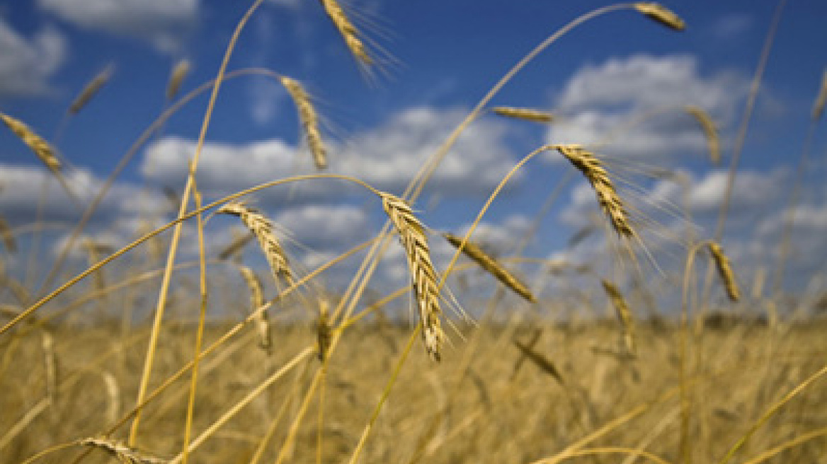 Elle Macpherson: Είναι «το κορμί» και στα 49 της 