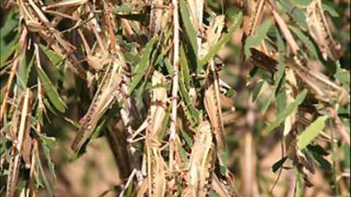 Δεν δέχεται η εφορία ό,τι δεν μπορεί να επαληθεύσει