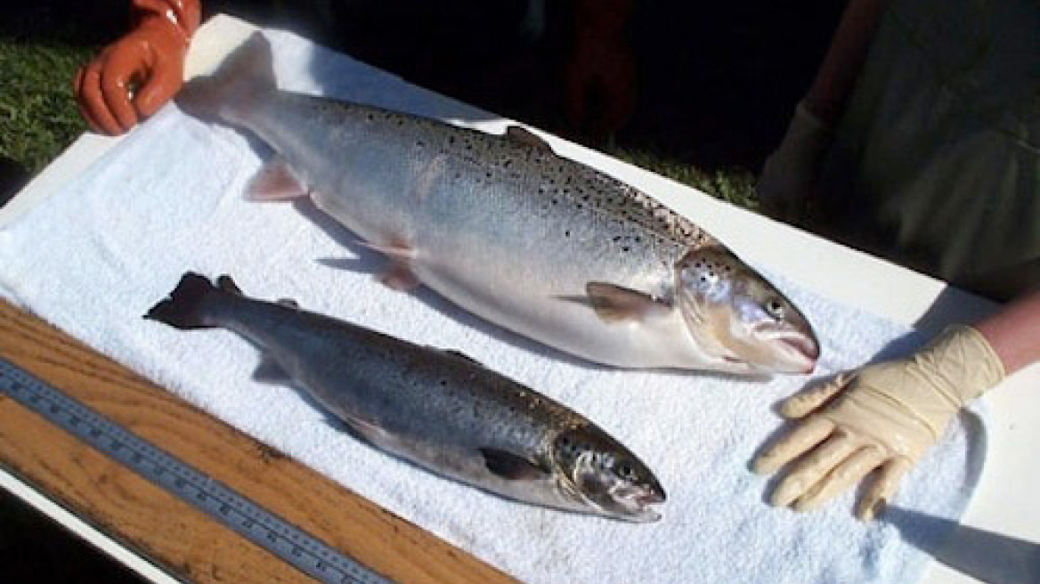 Eurobank: No need for horizontal measures