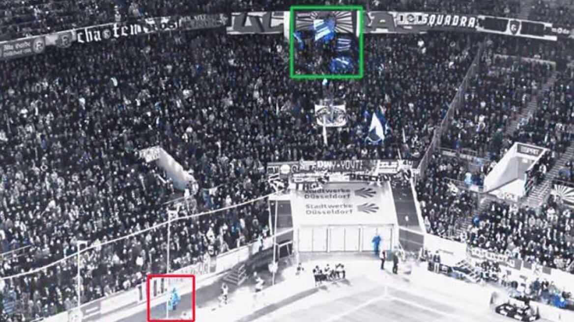 WWF: Καταστροφικό το νομοσχέδιο του ΥΠΕΚΑ για τα δασικα οικοσυστήματα