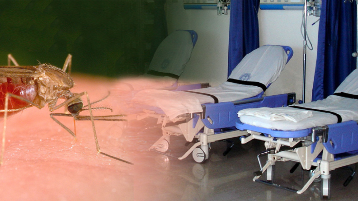 Καθησυχαστικοί οι ειδικοί για την εγκεφαλίτιδα 