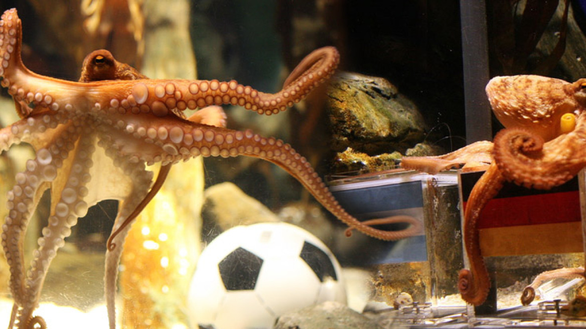 Βίντεο-φρίκη: Περιφέρουν γυμνή και κακοποιημένη μία γυναίκα στην πλατεία Ταχρίρ