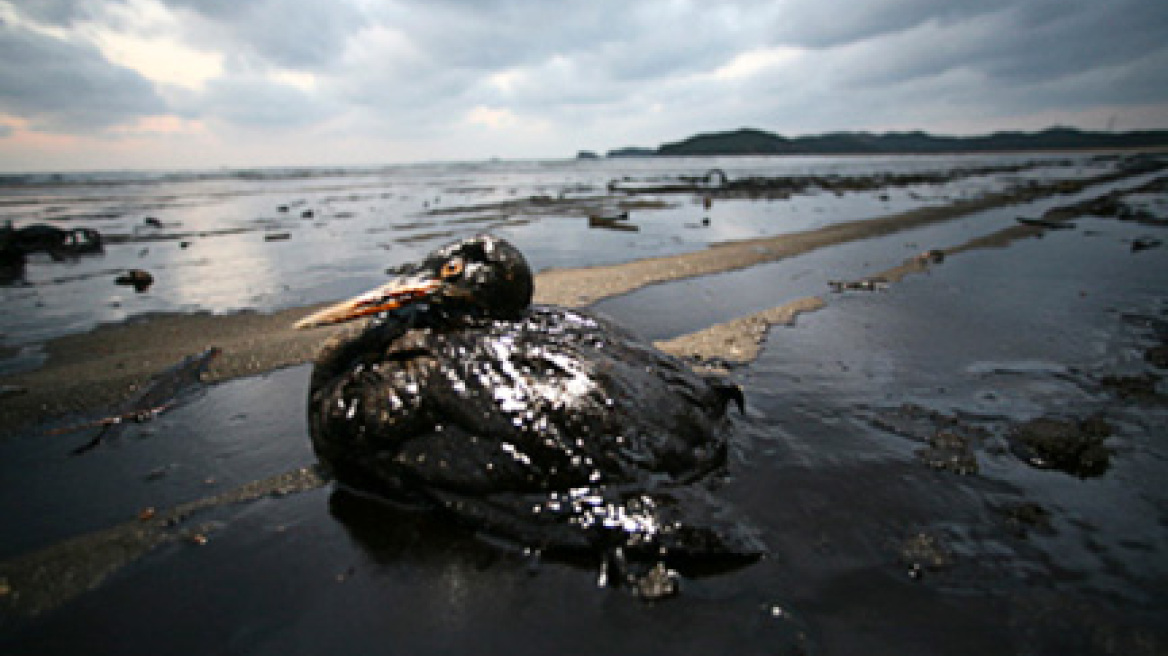 Σούπερ Λιγκ: Τα... φρέσκα πρόσωπα στους πάγκους