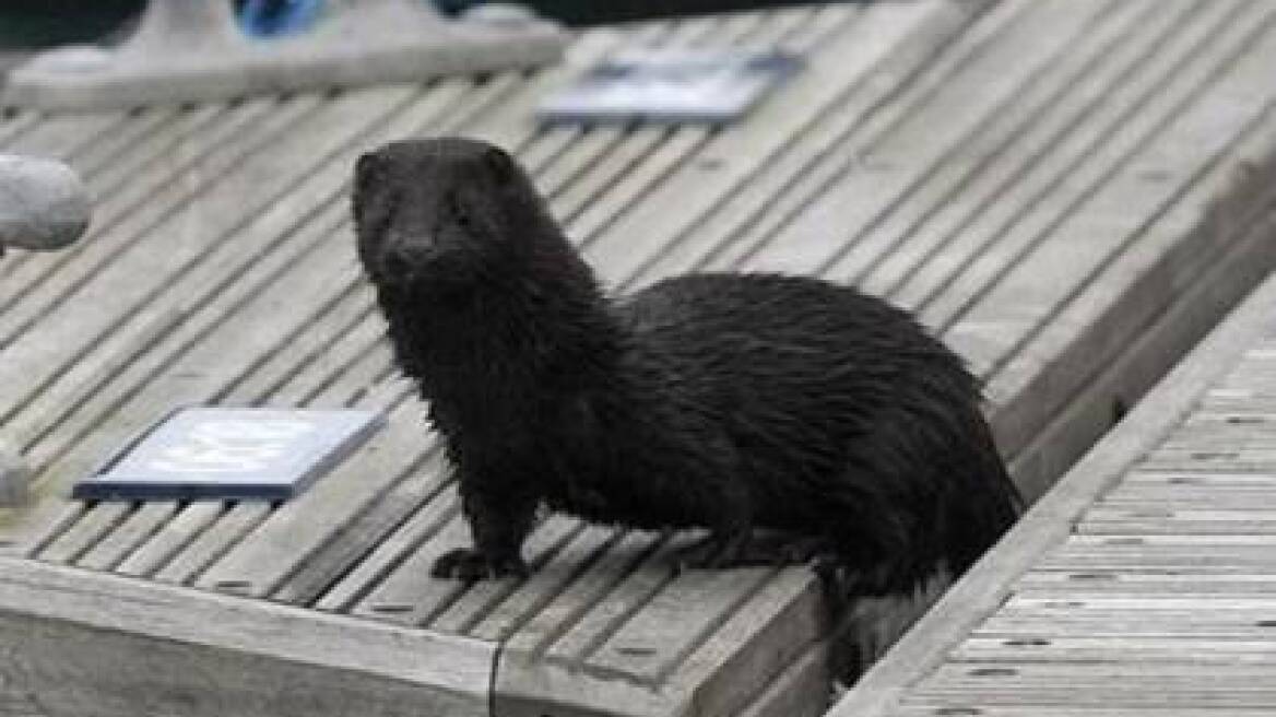 Ηλιοφάνεια με νεφώσεις σε όλη τη χώρα