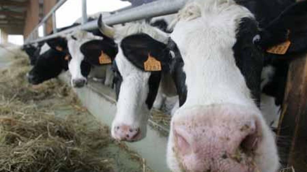 Ου μοιχεύσεις: Τα μεγαλύτερα σκάνδαλα του Hollywood