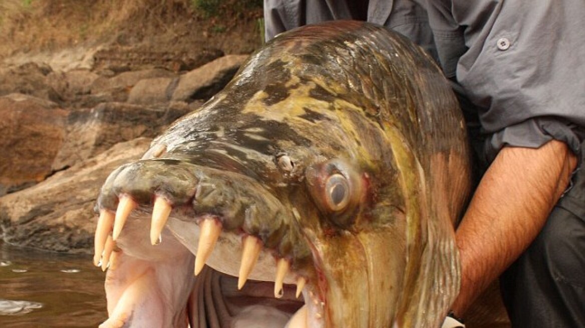 Φονική κακοκαιρία «σαρώνει» τη δυτική Ευρώπη