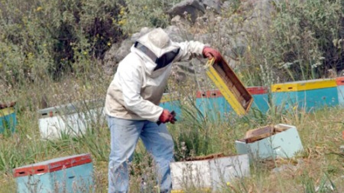 Δάφνη Αβαλον: Η κασκαντέρ εγγονή του Νίκου Μαστοράκη