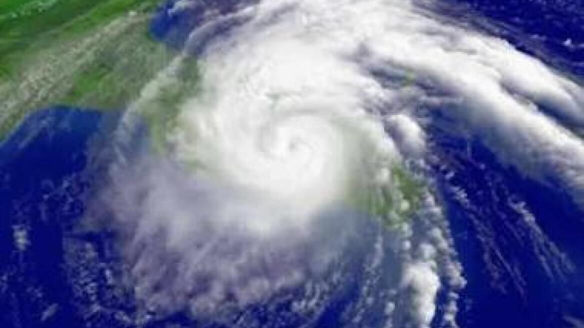 Τα σκυλιά της ΕΛ.ΑΣ. δεν ήταν… λαίμαργα!