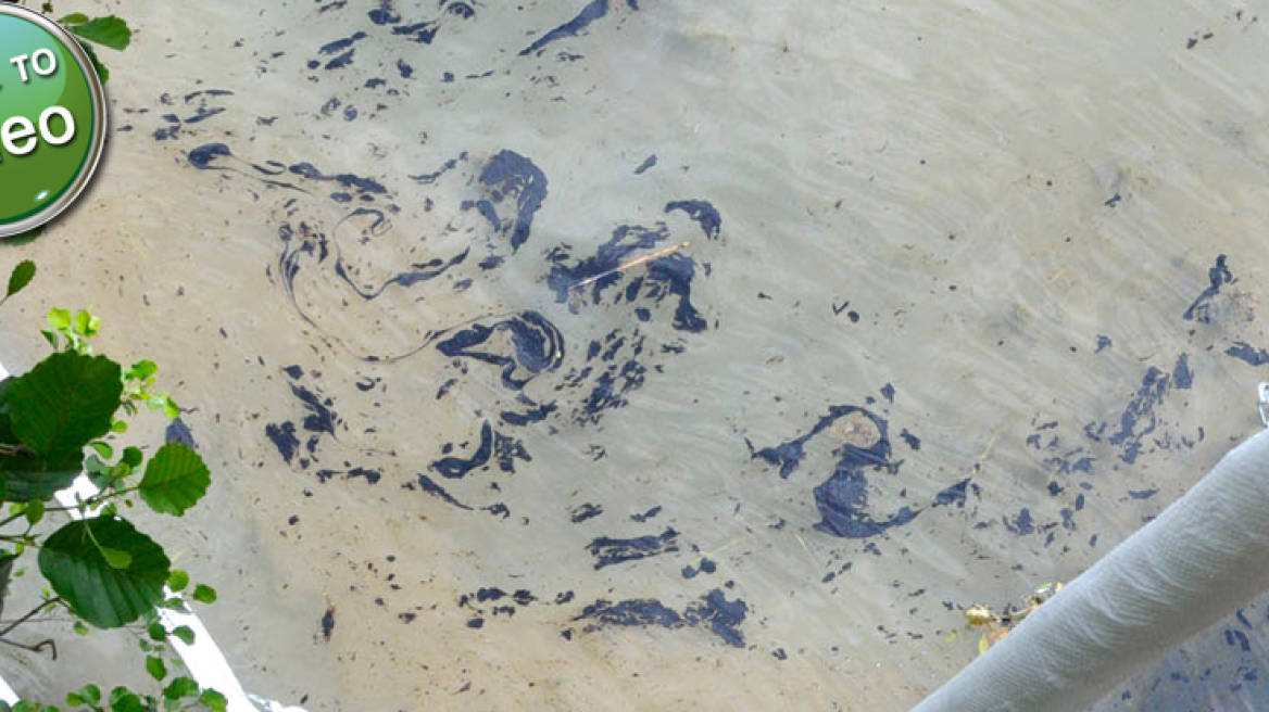 Στέφενς: «Η Σάλκε έχει το άγχος»