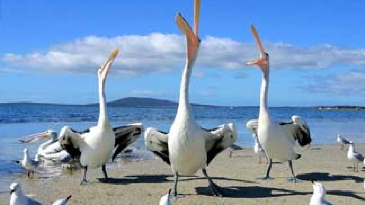 Το κάμπινγκ καταπολεμά την αϋπνία!