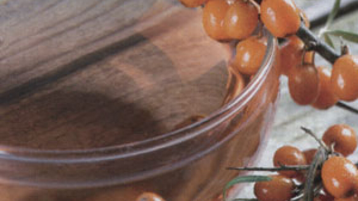 "Ιπποφαές" ένα φυτό με ευεργετικές ιδιότητες 