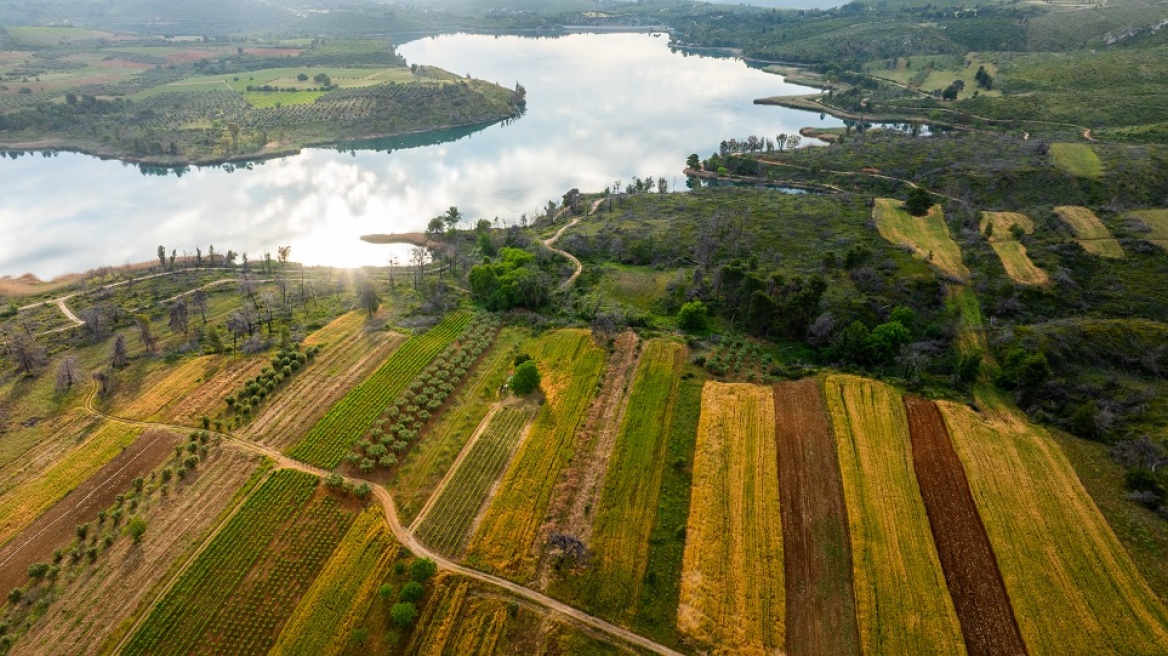 Kάμπος Μαραθώνα: το περιβόλι της Αττικής