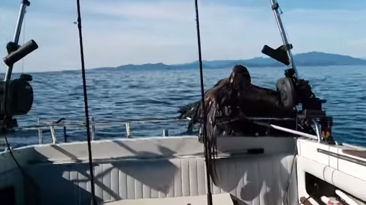 Ψαράς σώζει... καλοφαγά αετό από πνιγμό!