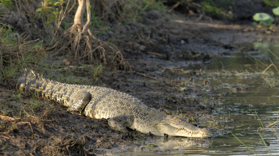 Τα 7 πιο επικίνδυνα νησιά στον κόσμο!