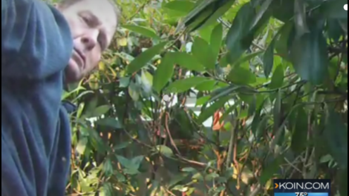 Η υπόθεση... βρωμάει: Η αστυνομία στις ΗΠΑ ψάχνει άγνωστο άνδρα που αφοδεύει δημοσίως!