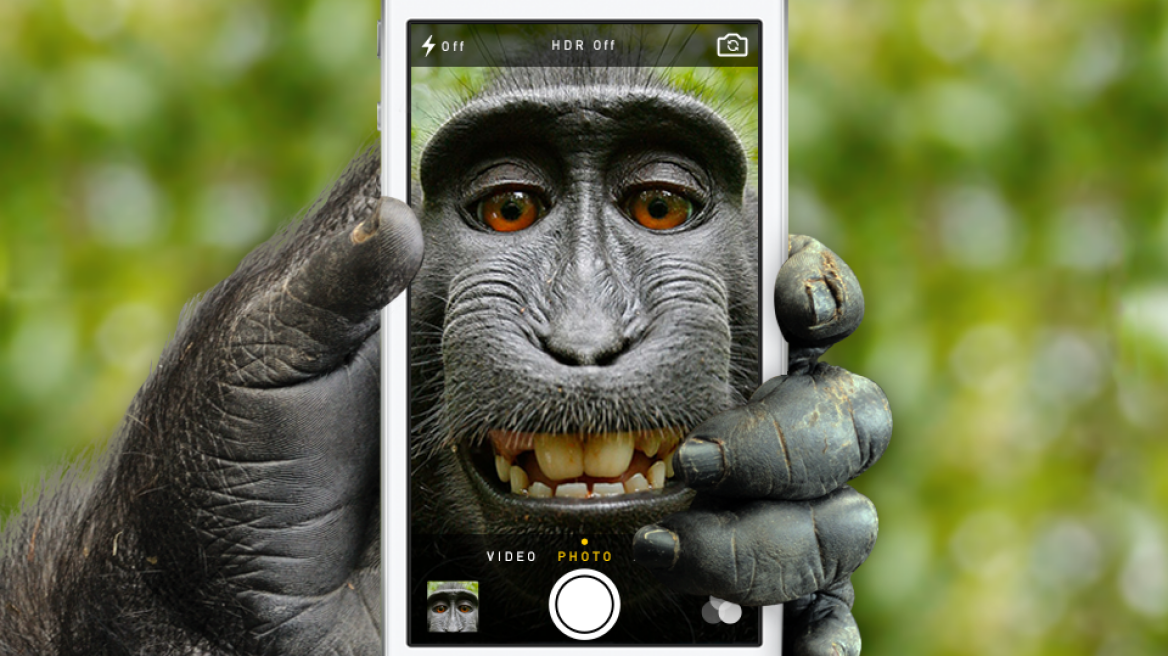 If a monkey takes a selfie with your camera… PETA may sue you! (pics)