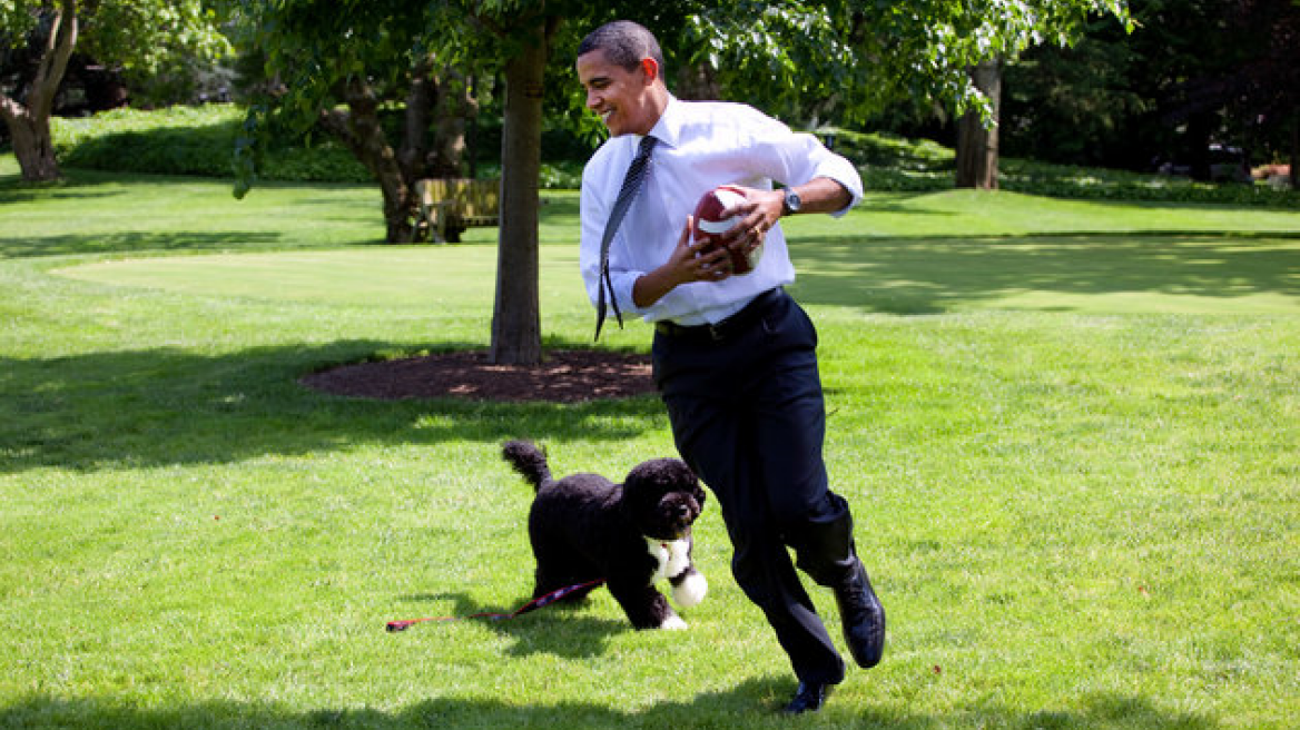 Happy Birthday, Bo Obama! (pics + vids)