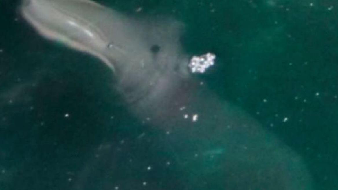 Corfu gets its own Lochness monster... and its photobombing tourists' snapshots!