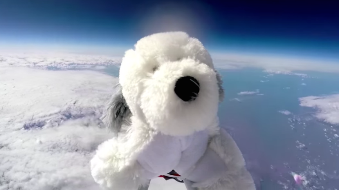 Βίντεο: Μαθητές «έχασαν» το σκυλάκι τους στο... διάστημα