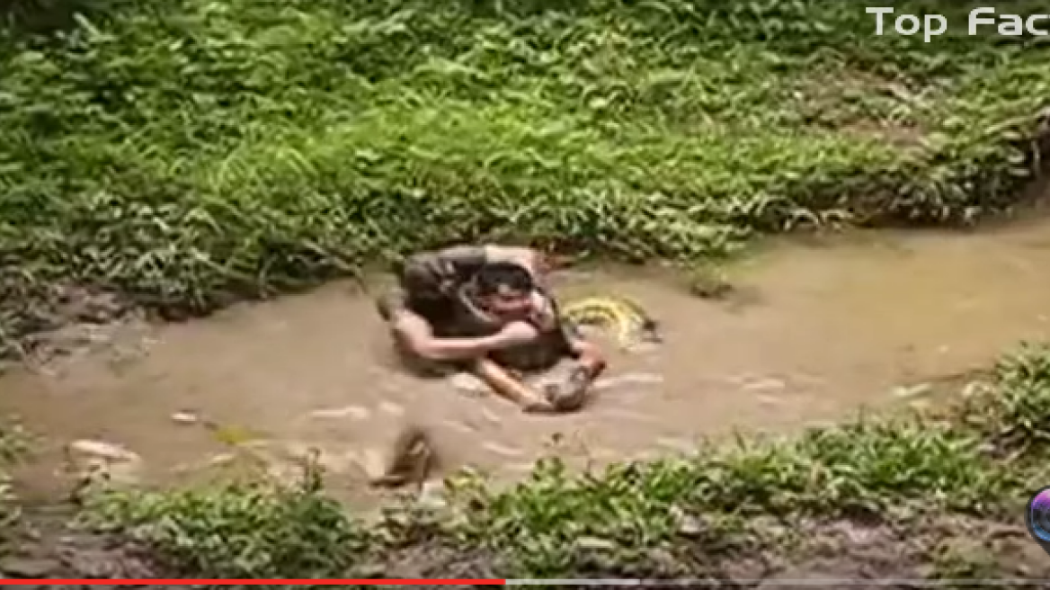 Shocking anaconda attacks against humans (warning: graphic video)