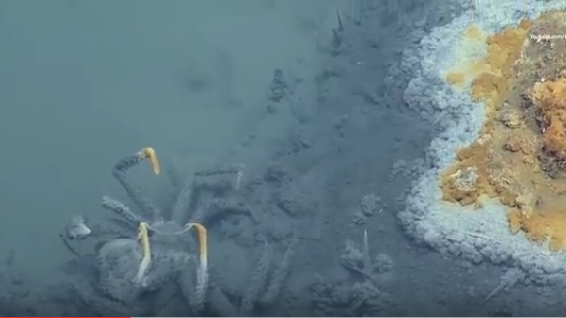 Do not enter the “Jacuzzi of Despair” (video)