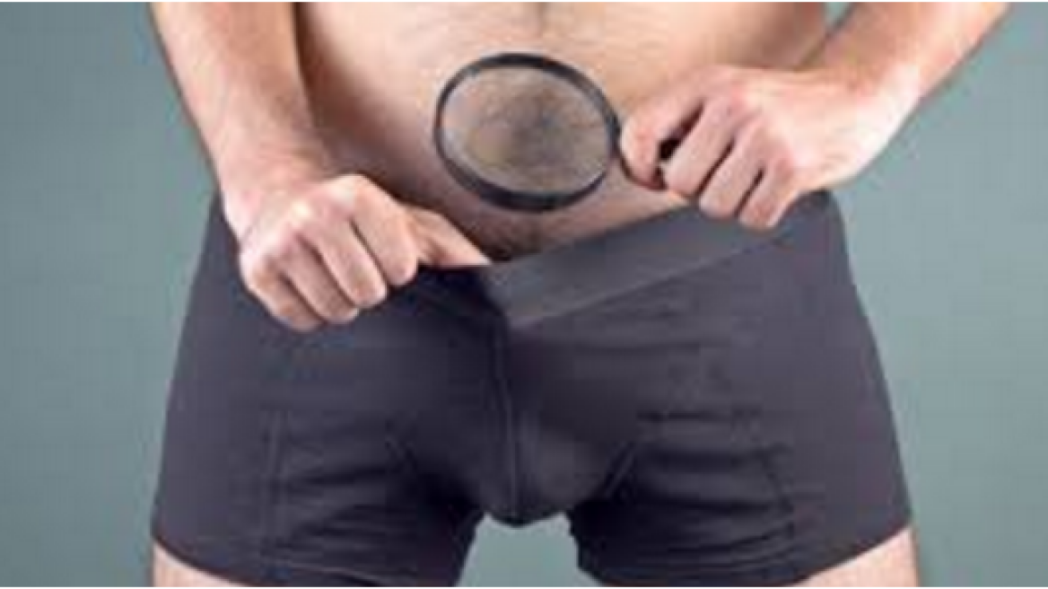 Women prefer penises that are slightly larger than average