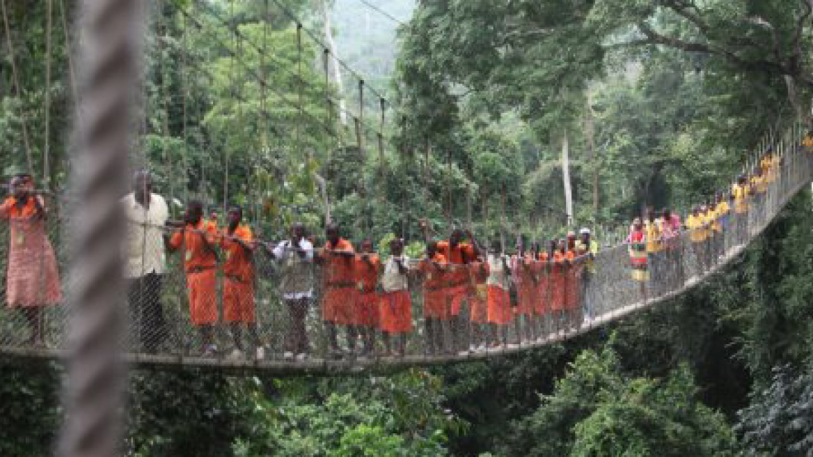 Δέντρο καταπλάκωσε 18 ανθρώπους κοντά σε καταρράκτη στη Γκάνα  
