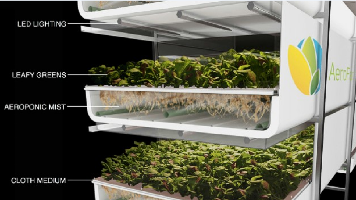 Meet the farm that grows plants with zero sunlight, soil, pesticides, or water