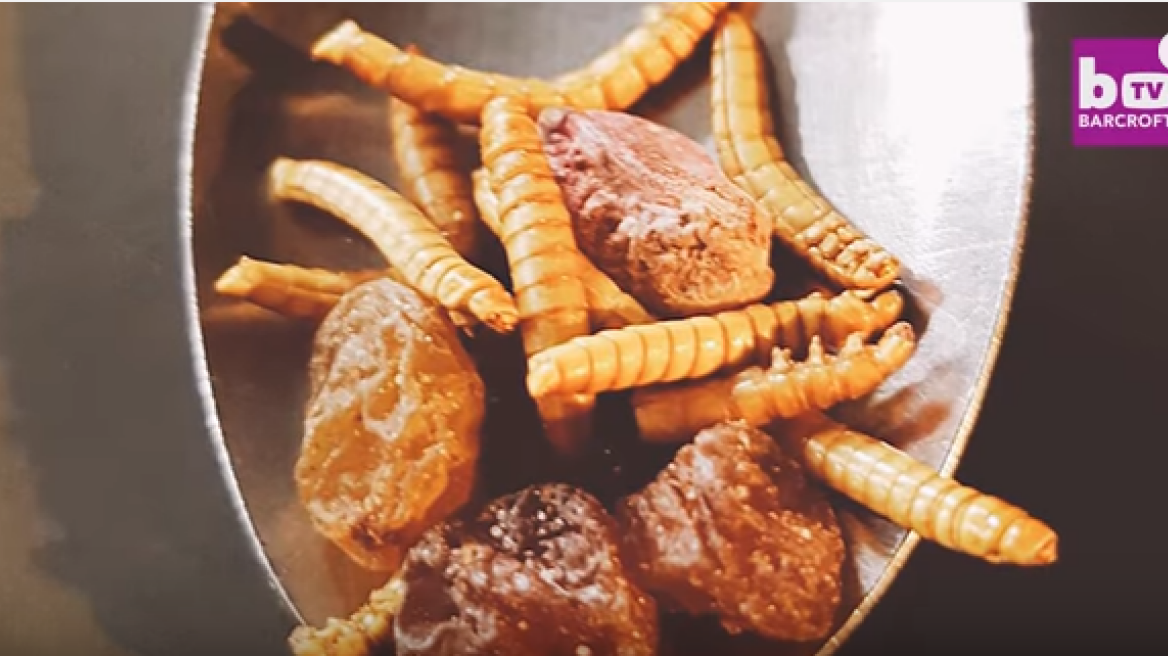Adding insects to your food?!! (warning: video could be disturbing)
