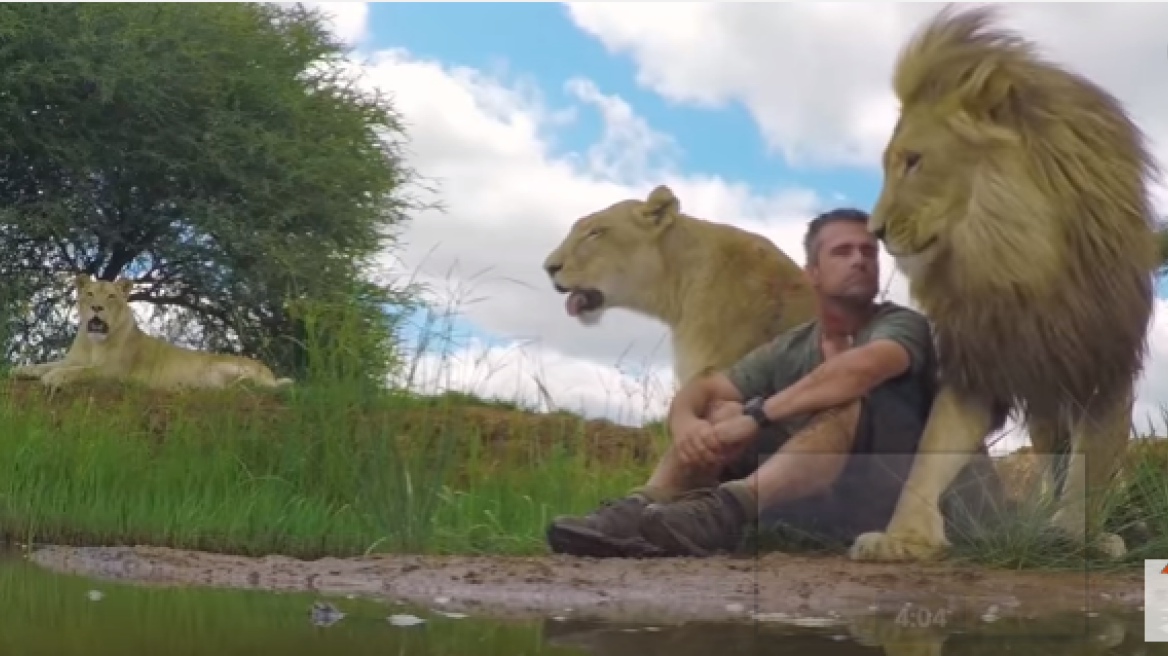 Meet the “Lion Whisperer” (video)