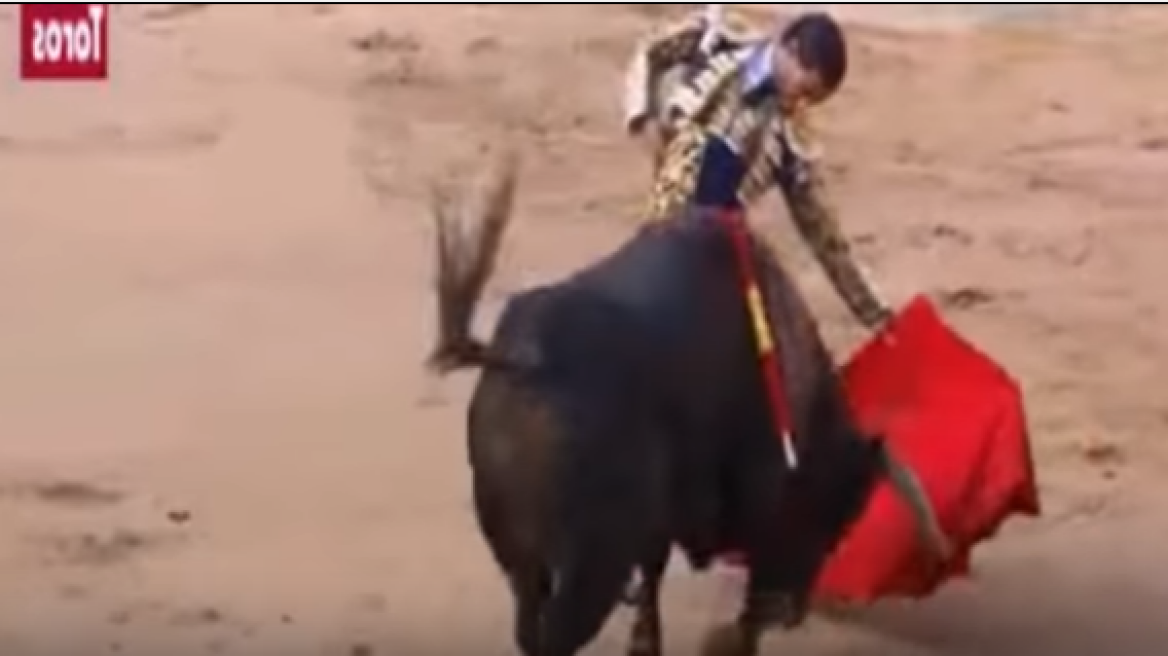 Spanish bull fighter gored to death in France (graphic video)