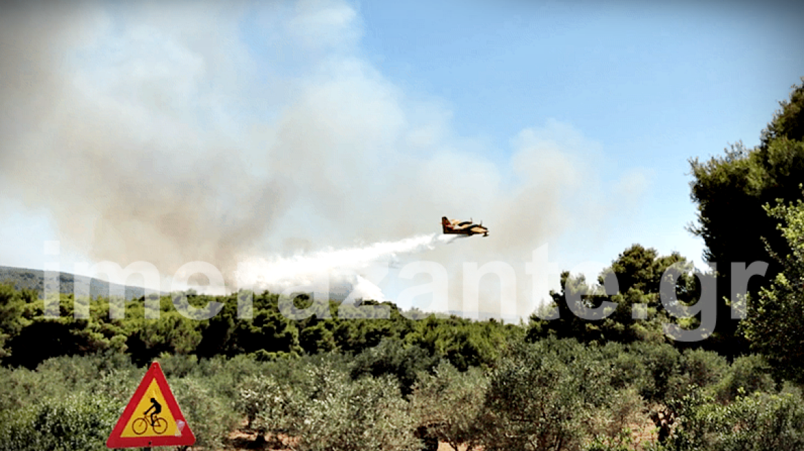 Στάχτη έγιναν 50 στρέμματα πευκοδάσους στις Βολίμες Ζακύνθου 