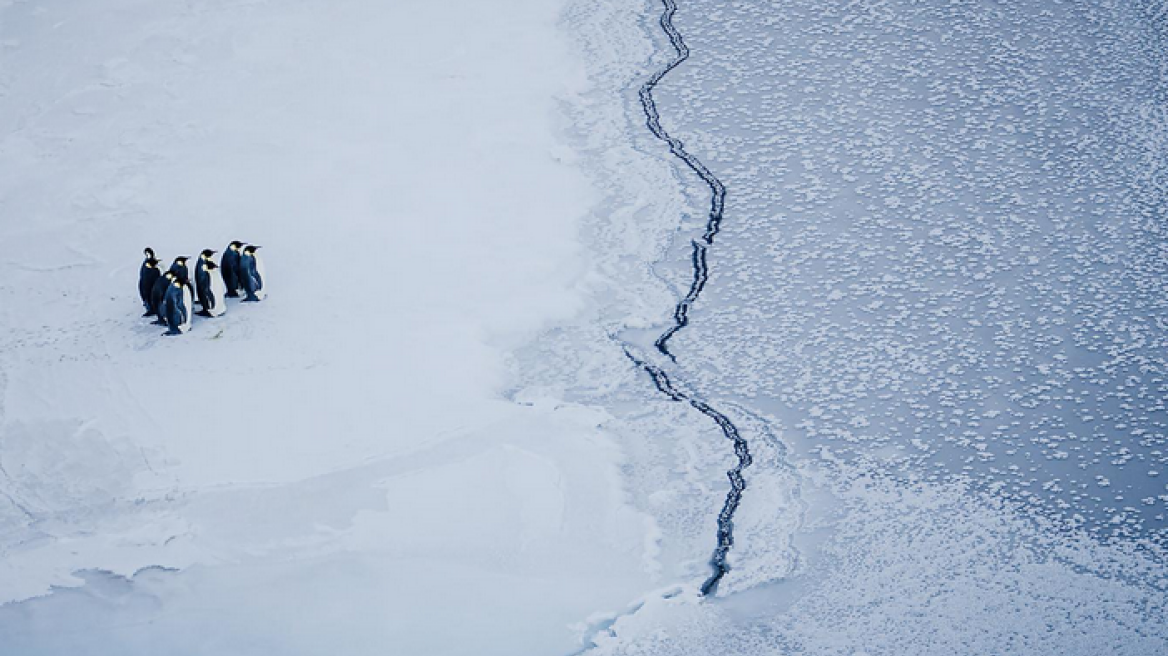 Scientists: Carbon dioxide must be removed from the atmosphere to avoid extreme climate change