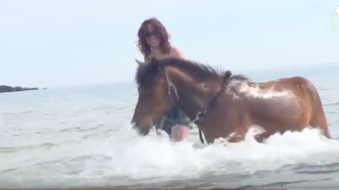 Meet the Ancient Greek horse that still exists today! (video)