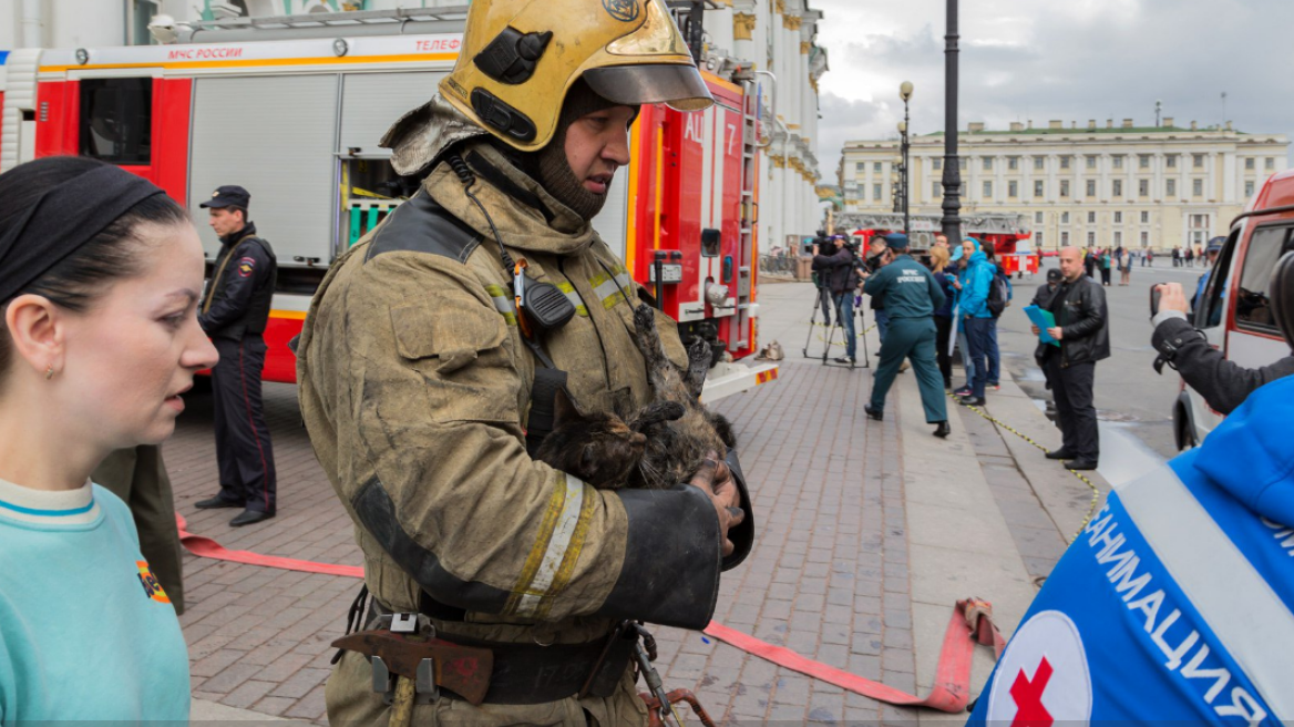 Μοιραία φωτιά για τις διάσημες γάτες του Ερμιτάζ
