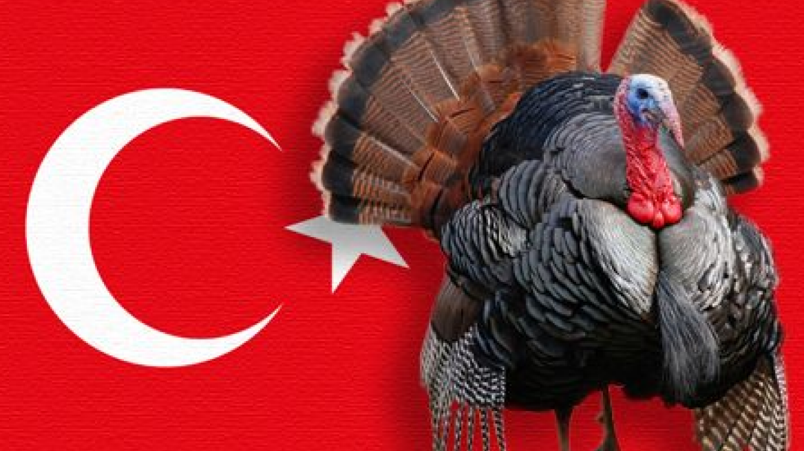 Κύπρια μπέρδεψε τη γαλοπούλα με την Τουρκία και... τα έψαλε σε αλυσίδα σούπερ μάρκετ!