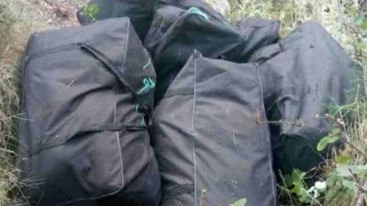 Κρήτη: Είχαν στα χέρια τους τον καλλιεργητή 333 χασισόδεντρων και δεν το ήξεραν