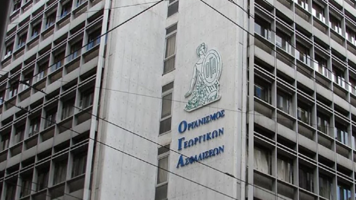 ΟΓΑ: Πριν τα Χριστούγεννα το βοήθημα σε αγρότισσες πολύτεκνες μητέρες