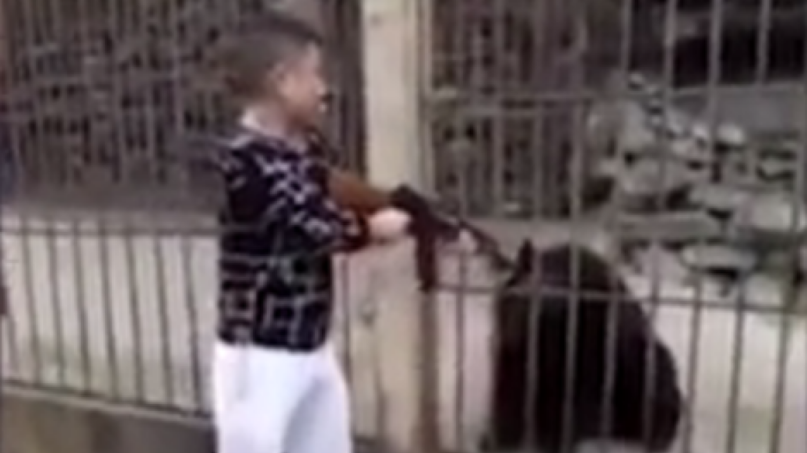 Βίντεο-σοκ: Κινέζος τουρίστας εκτελεί εν ψυχρώ με αυτόματο φυλακισμένη αρκούδα